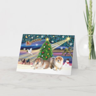 Xmas Magic-Chow Pair Holiday Card