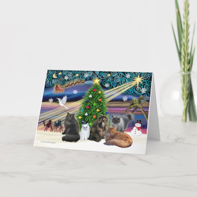 Xmas Magic - Five Persian Cats Holiday Card (Front)