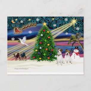 Xmas Magic-Jack Russell Pair2 Holiday Postcard