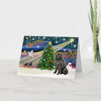 Xmas Magic-Newfie blksit Holiday Card