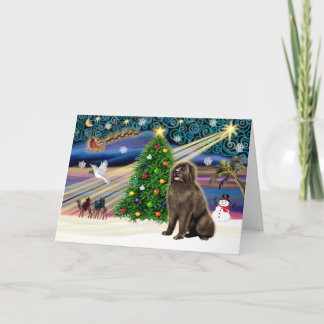 Xmas Magic-Newfie-brownsit Holiday Card