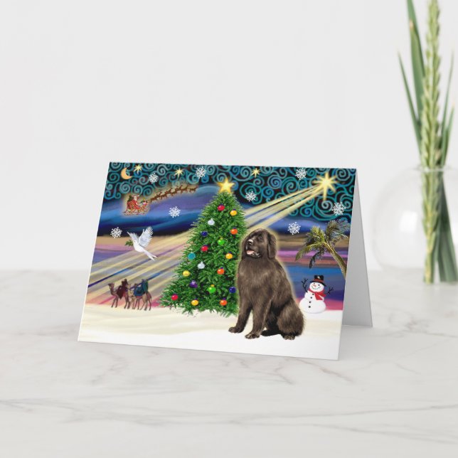 Xmas Magic-Newfie-brownsit Holiday Card (Front)