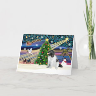 Xmas Magic-Newfie-Landseersit Holiday Card