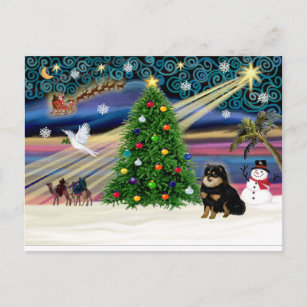 Xmas Magic - Pomeranian Black-Tan Holiday Postcard