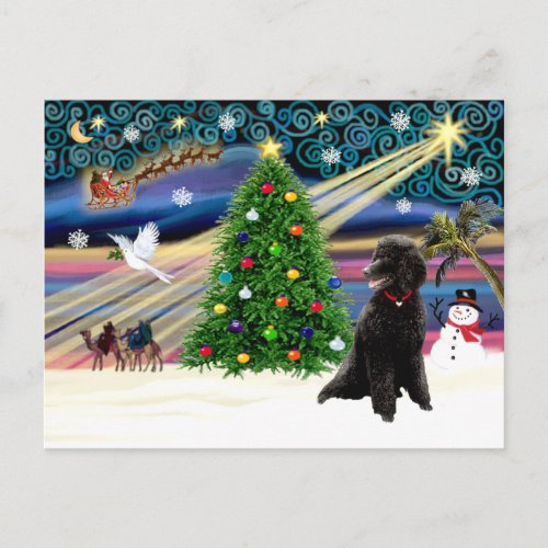 Xmas Magic_Poodle_Std_black Holiday Postcard