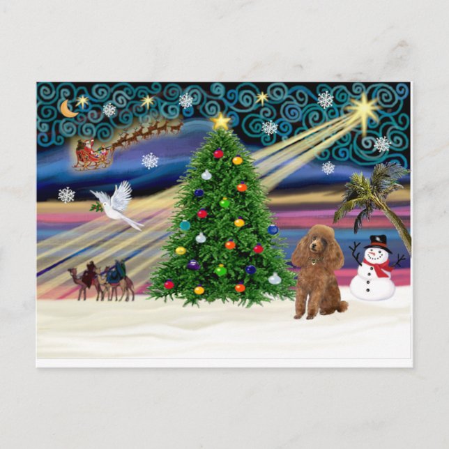 Xmas Magic-Poodle-Toy-Apricot Holiday Postcard (Front)