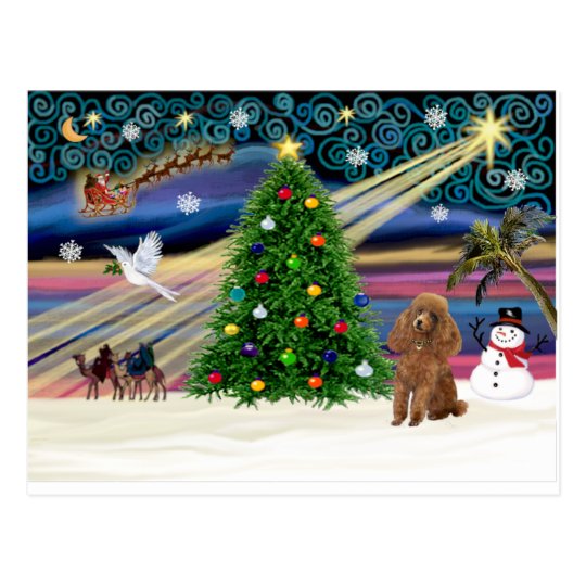 Xmas Magic-Poodle-Toy-Apricot Postcard