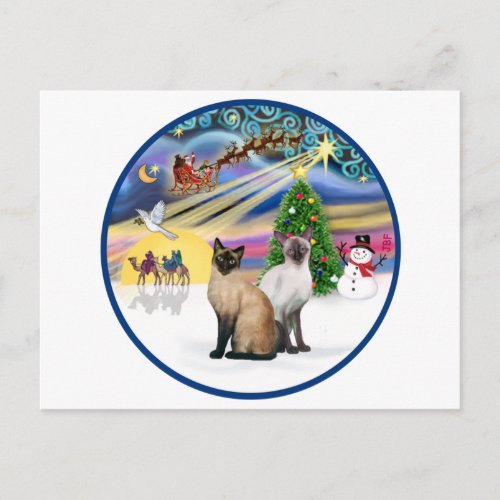 Xmas Magic R _ Two Siamese cats Holiday Postcard