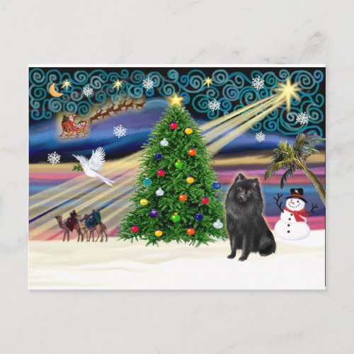 Xmas Magic_Schipperke Holiday Postcard