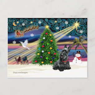 XMAS MAGIC-Scottie2B Holiday Postcard