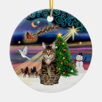 Xmas Magic - Tabby Tiger cat Ceramic Ornament