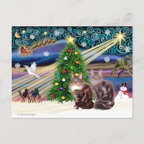 Xmas Magic _ Two Maine Coon cats Holiday Postcard