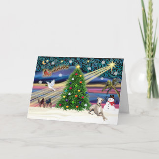 Xmas Magic-Whippet 2 Holiday Card