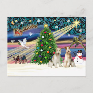 Xmas Magic-Wire Fox Terrier PAIR Holiday Postcard