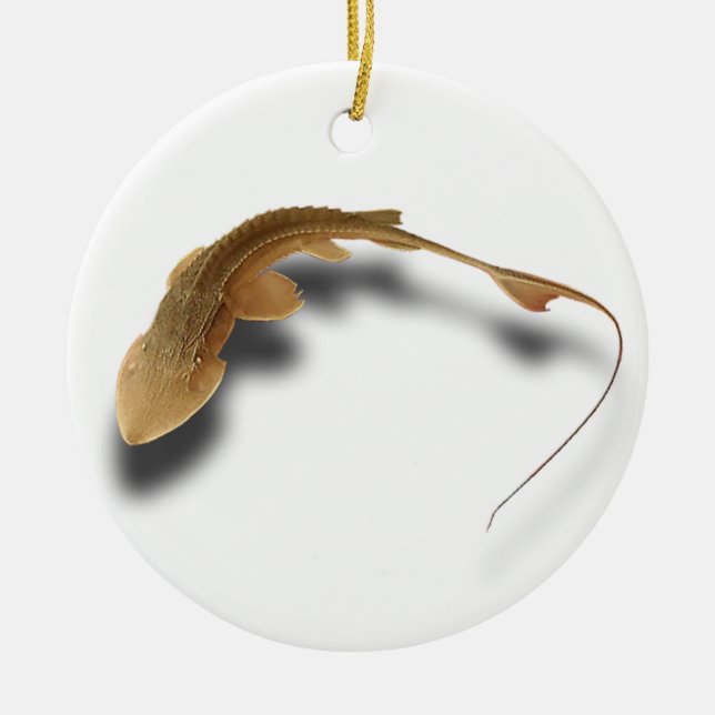 >XMAS ORNAMENT -STURGEON FISH -REAL SHOVELNOSE (Front)