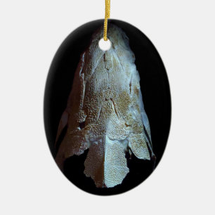 >XMAS ORNAMENT -STURGEON FISH -SKULL/HEAD