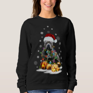 Xmas Pitbull Dog Christmas Lights Santa Reindeer D Sweatshirt