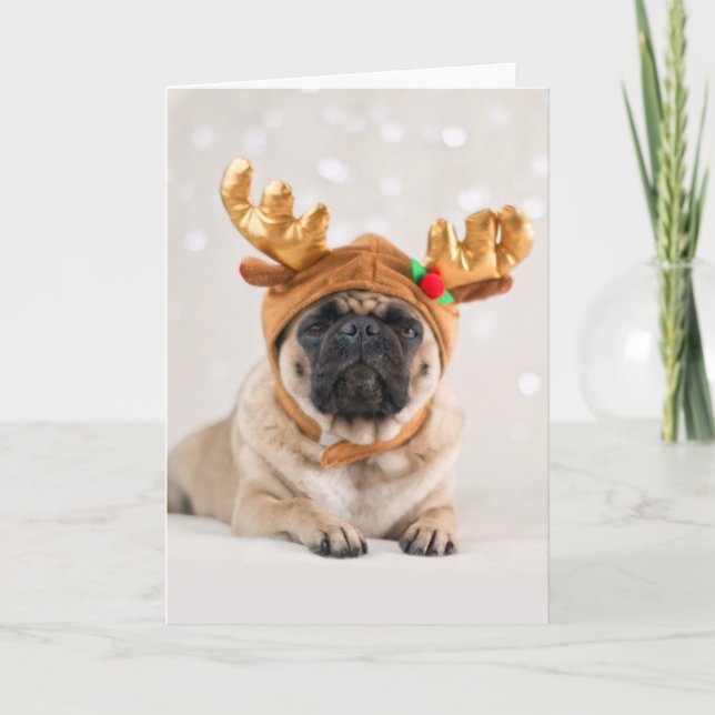 Xmas Pug Holiday Card (Front)