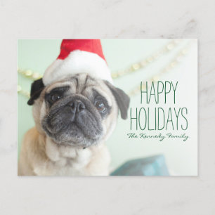 Xmas Pug Holiday Postcard