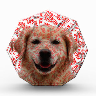 Xmas Smiling Golden Retriever Dog Award