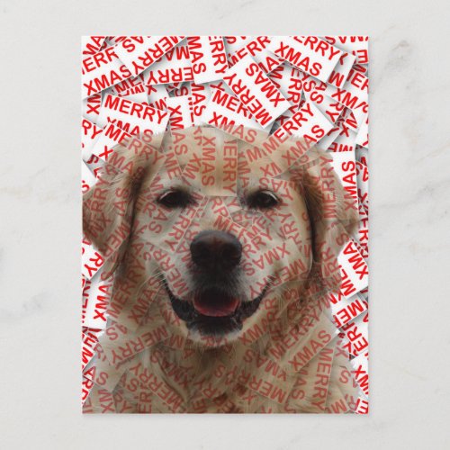 Xmas Smiling Golden Retriever Dog Holiday Postcard