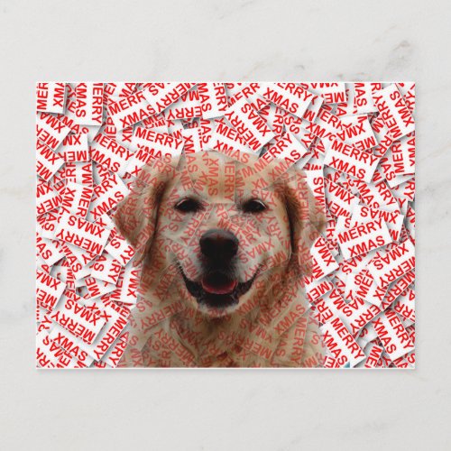 Xmas Smiling Golden Retriever Dog Holiday Postcard