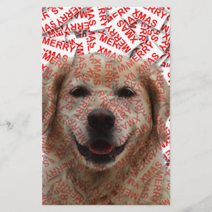 Xmas Smiling Golden Retriever Dog Stationery