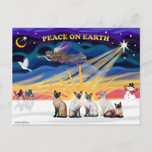 Xmas Sunrise _ 5 Siamese cats Holiday Postcard