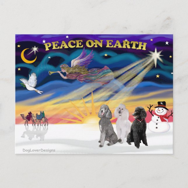 Xmas Sunrise - Three Standard Poodles Holiday Postcard (Front)