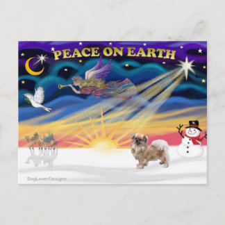 Xmas Sunrise - Tibetan Spaniel 1 Holiday Postcard