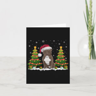 Xmas Tree Lights Pitbull Dog Santa Hat Christmas S Card
