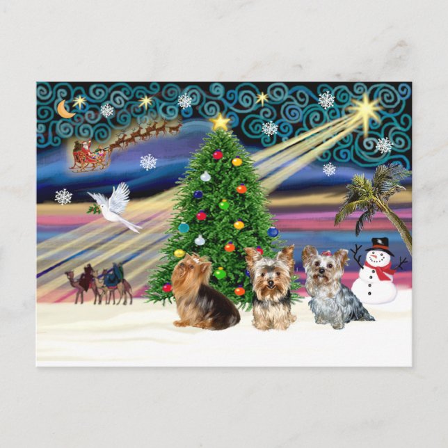 XmasMagic Yorkie Trio Holiday Postcard (Front)