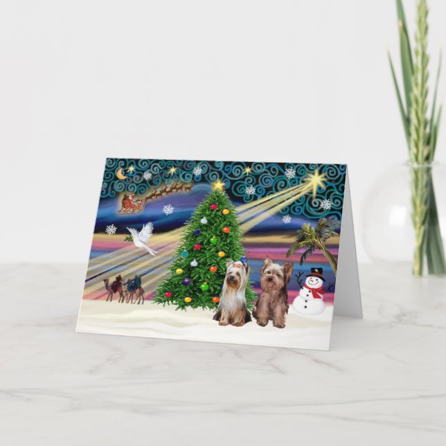 XmasMagic-Yorkshire Terriers (two) Holiday Card (Front)