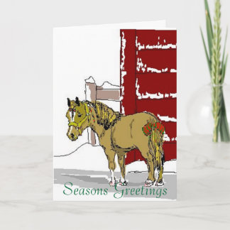 Xmaspony, Seasons Greetings Holiday Card