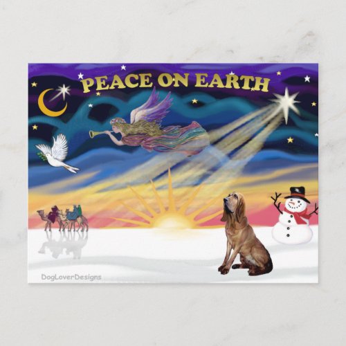 XmasSunrise_BLoodhound Holiday Postcard