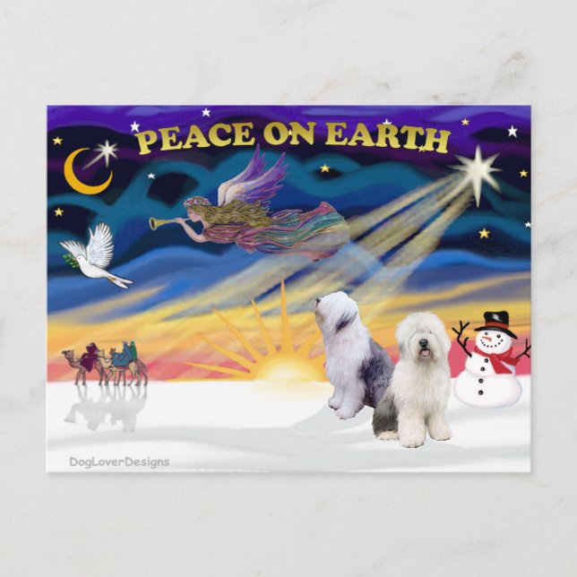 XmasSunrise-Two-Old English Sheepdog Holiday Postcard (Front)