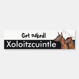 Xolitzcuintle Bumper Sticker