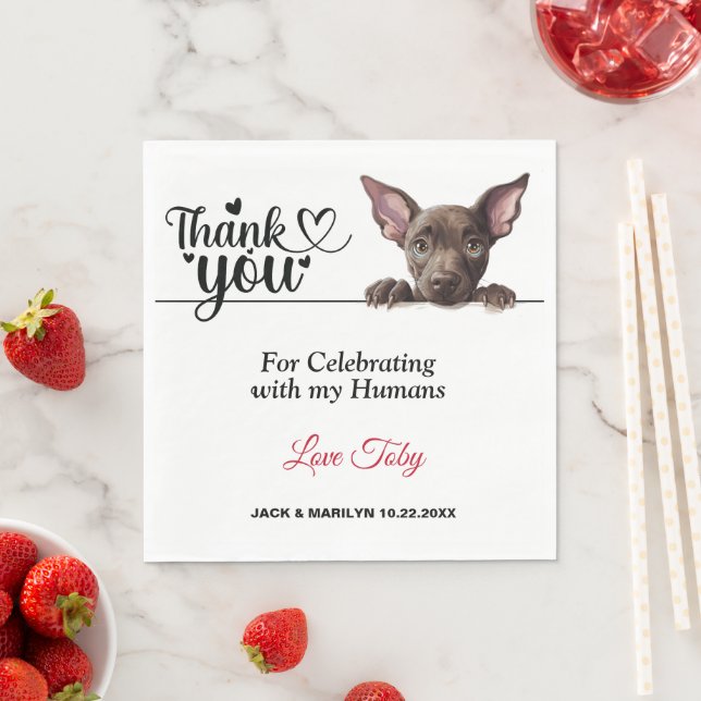 Xoloitzcuinti Peeking Dog Paper Napkins (Insitu)