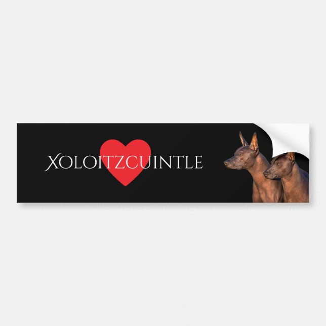 Xoloitzcuintle Bumper Sticker (Front)