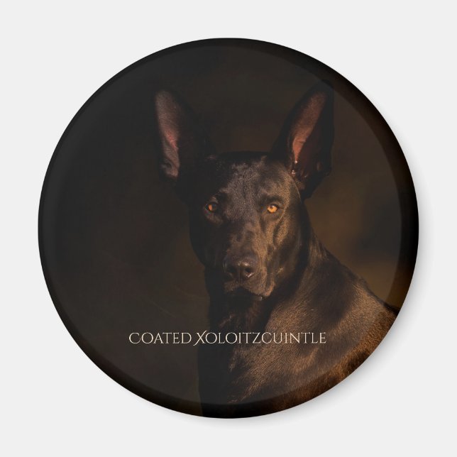 Xoloitzcuintle Coated Magnet (Front)