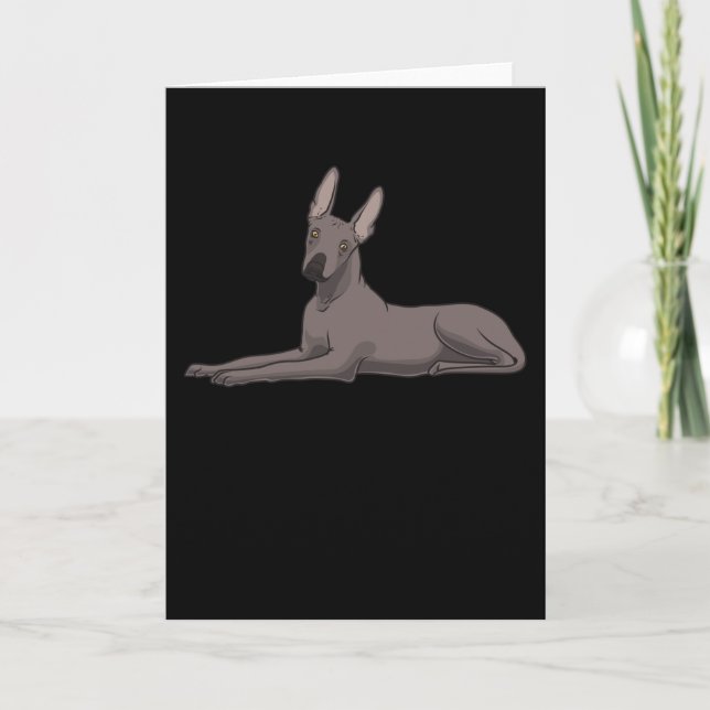 Xoloitzcuintle Dog Card (Front)