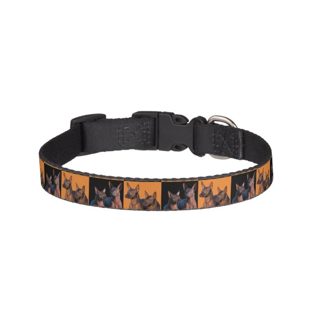 Xoloitzcuintle Dog Collar (Front)