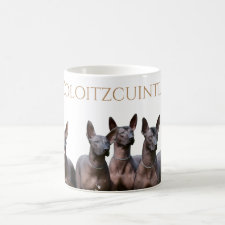 Xoloitzcuintle Mug