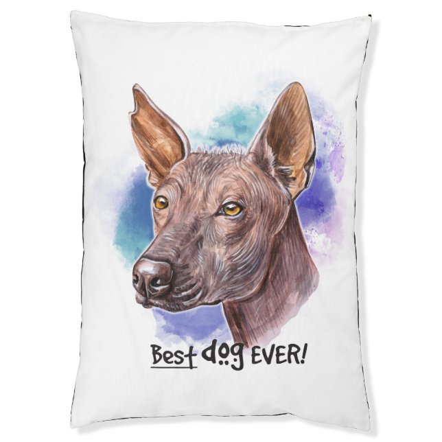 XOLOITZCUINTLE PET BED (Front Vertical)