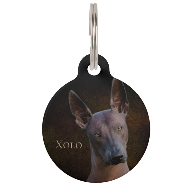 Xoloitzcuintle Pet ID Tag (Front)