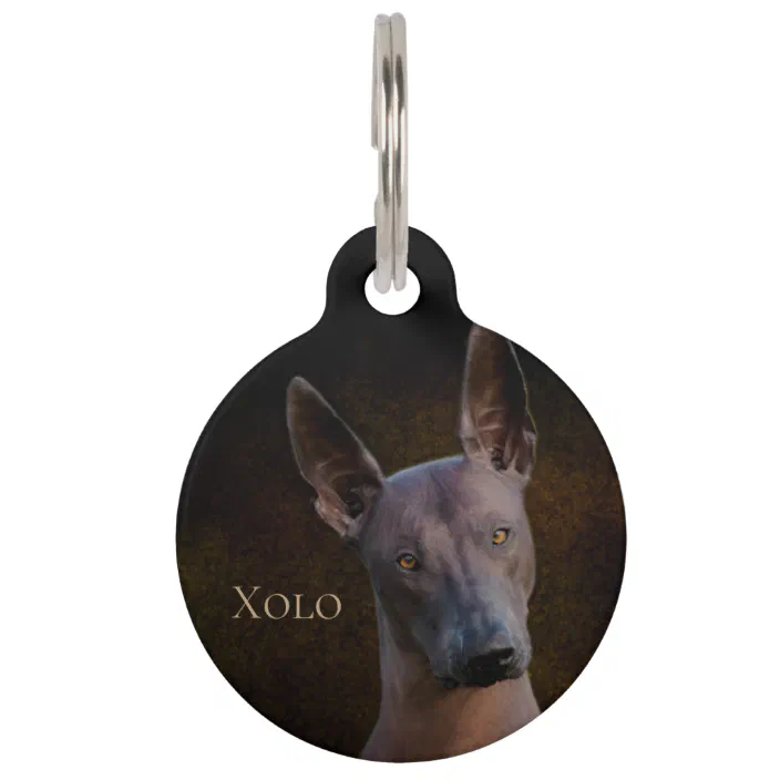 Cute Custom Personalized Pet ID tag for Dog and Cat Collars ROUND XOLO MEXICO 