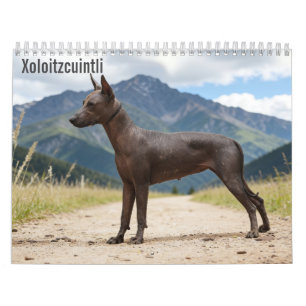 Xoloitzcuintli 2027 Wall calendar