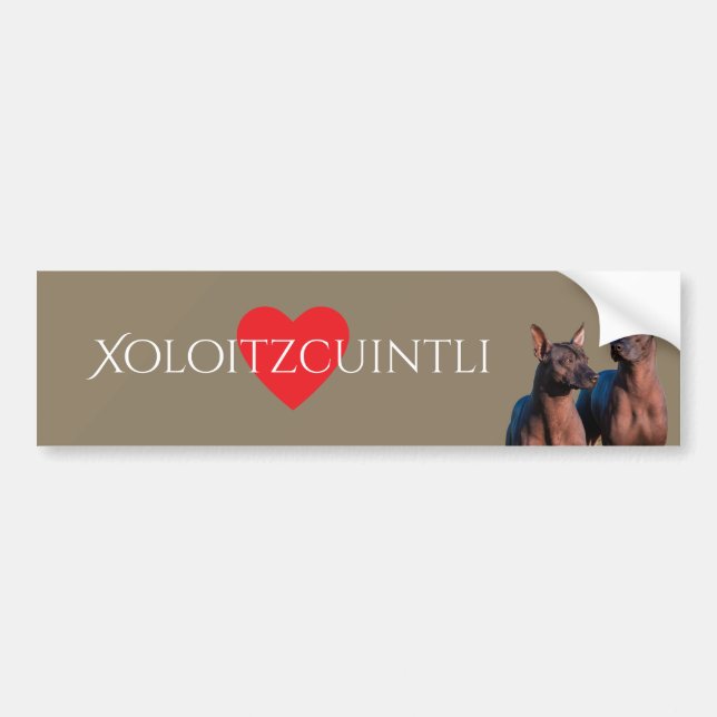 Xoloitzcuintli Bumper Sticker (Front)