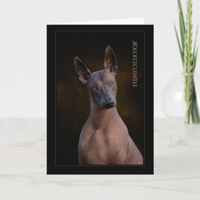 Xoloitzcuintli Greeting Card (Front)