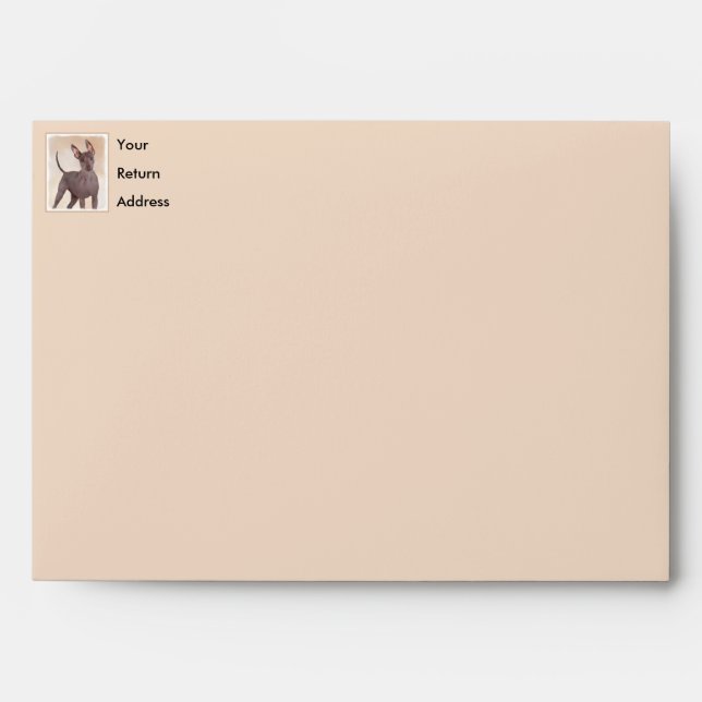 Xoloitzcuintli Painting - Cute Original Dog Art Envelope (Front)